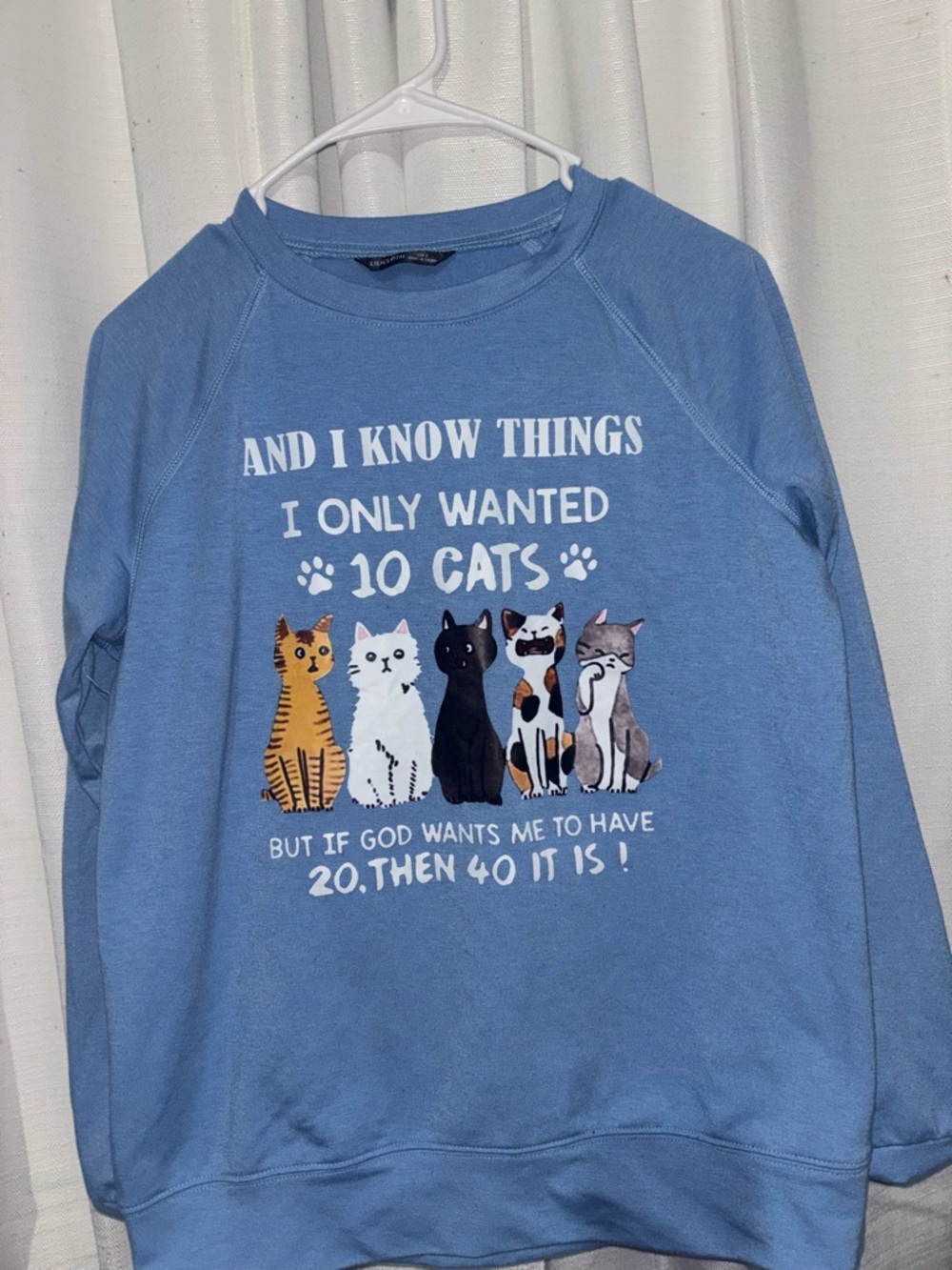 Blue Cat Graphic Sweatshirt - Casual Cat Lover Pullover